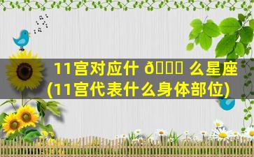 11宫对应什 🐟 么星座(11宫代表什么身体部位)